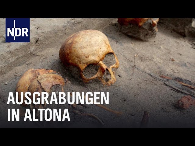 "Schatzsuche" in Hamburg-Altona: Die Ausgrabung des historischen Zentrums | Die Nordreportage | NDR