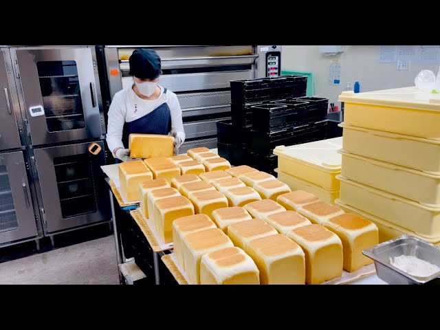 She WAKES UP at 4AM to make ALL this Bread Everyday! Japanese Breadmaking!