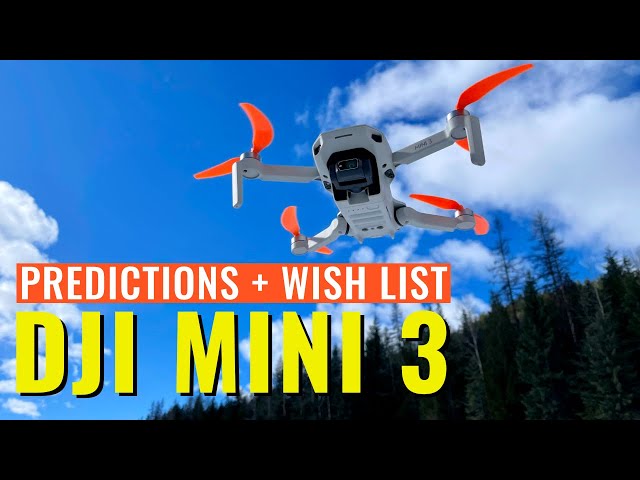 DJI MINI 3 | WHAT TO EXPECT - My Predictions and Wish List