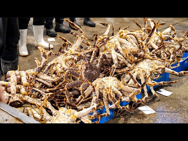 King of Korean Seafood!! Giant king crabs & various crabs - Korean street food compilation