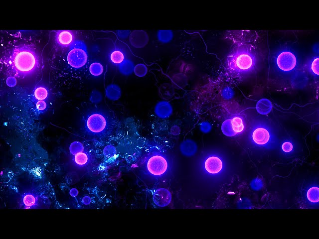 Purple Particles and Textures Background video | Footage | Screensaver