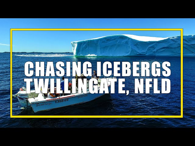 Chasing Icebergs in Twillingate, Newfoundland With Captain Dave