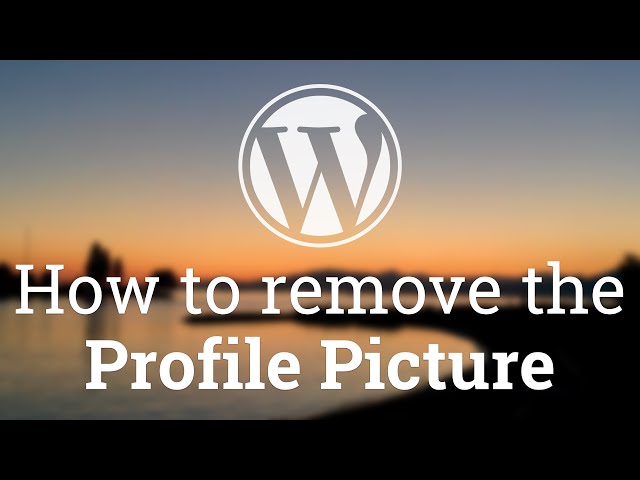 Part 9 - WordPress Theme Development - Remove Profile Picture and other Theme Support Options