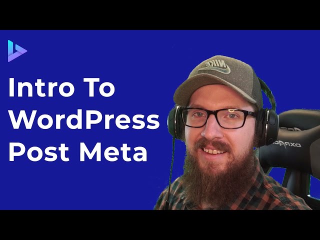WordPress Post Meta in 10 Minutes | WordPress Metadata and Database Tutorial