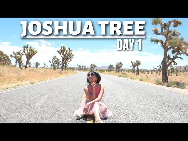 THINGS TO DO IN JOSHUA TREE  DAY 1 | JOSHUA TREE NATIONAL PARK TRAVEL GUIDE
