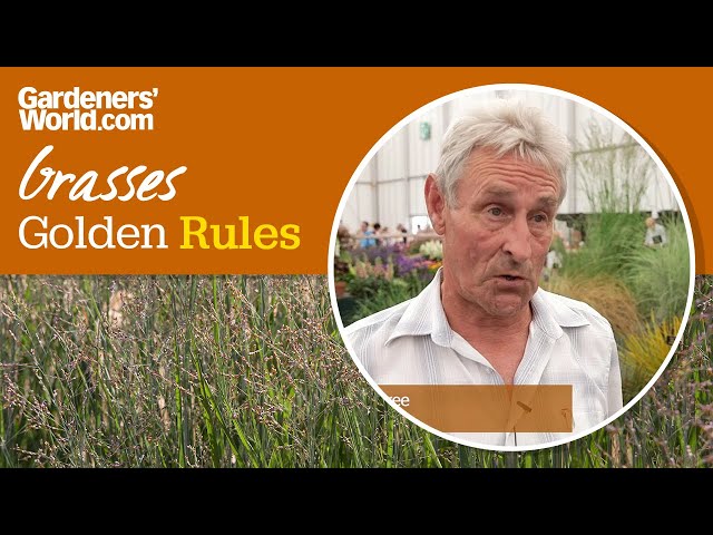 Caring for grasses - Golden Rules