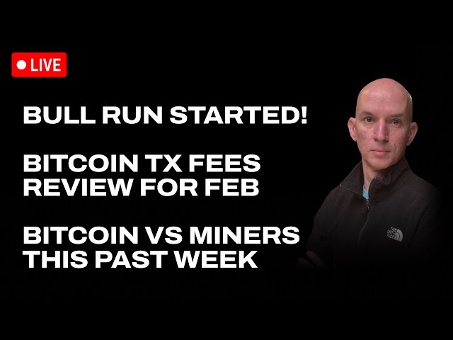 Bitcoin Bull Run Started! BTC TX Fees In Feb Review. BTC vs Miners Past Week! Q&A