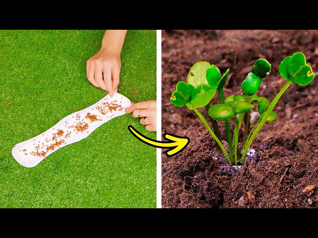 🌻 Лайфхаки для сада: умные способы улучшения вашего зеленого пространства