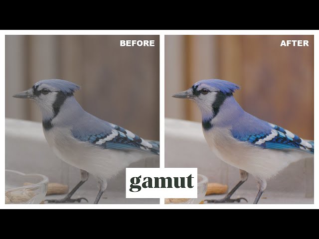 Gamut Conversion Luts For Log Footage