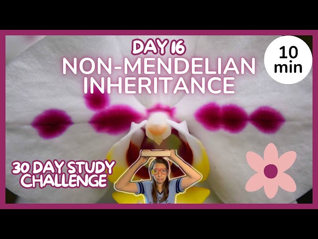 Day 16: Non-Mendelian Inheritance - 30 Day Biology Study Challenge 2024