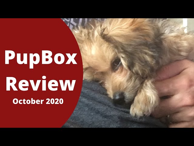 Should You Try Pupbox Subscription?  Pupbox Review and October 2020 Unboxing
