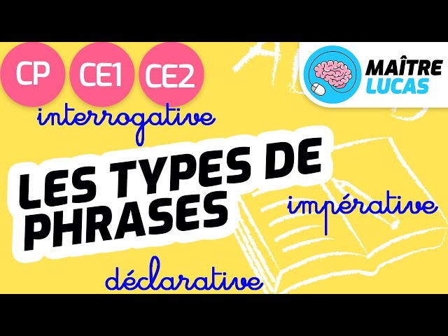 Les types de phrases CE1 - CE2 - CP - Cycle 2 - Français