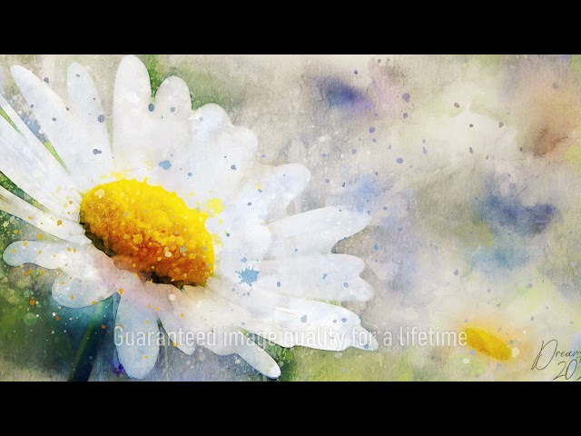 Premium Handmade Art Print "Margarita Flower in Watercolors" by Dreamframer Art