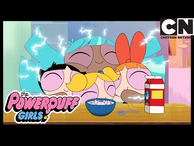 THE POWERPUFF GIRLS FAMILY Cartoon Network