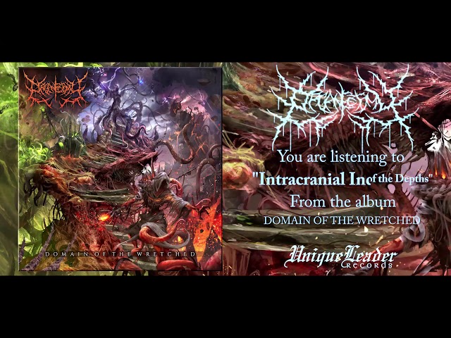 Organectomy - Domain of the Wretched (FULL ALBUM HD AUDIO)