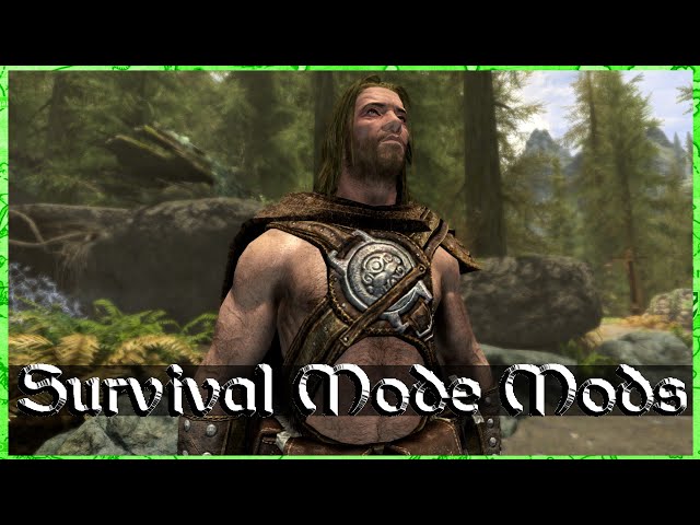 These 2 Mods Make Skyrim Survival Mode Much Better