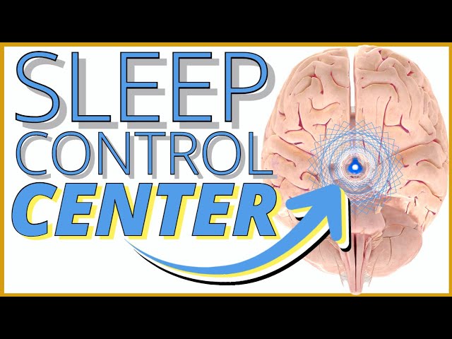 The Neuroscience of Sleep: How The Brain Controls Sleep