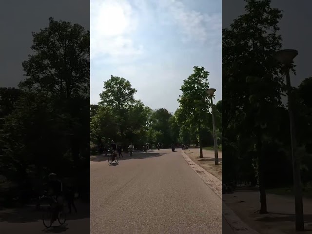 Biking in Amsterdam Vondelpark