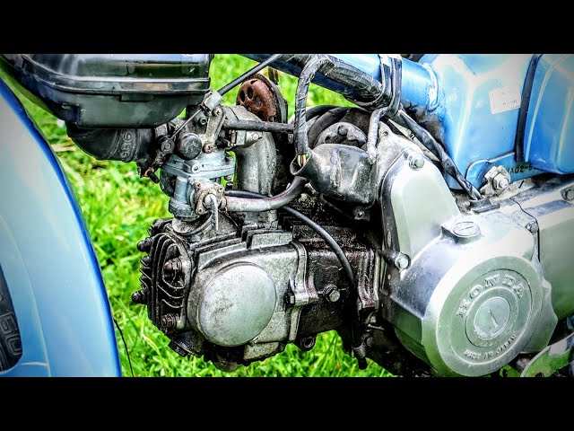 1995 Honda Cub 90 Engine Clean! (Satisfying)