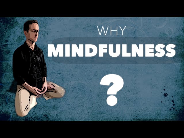 Why Mindfulness  | A Deeper Understanding & Application [Sitting Meditation]