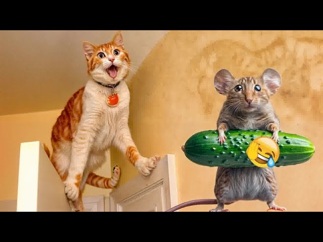 Cute animal Videos That You Just Can't Miss😻🐕‍🦺Part 8