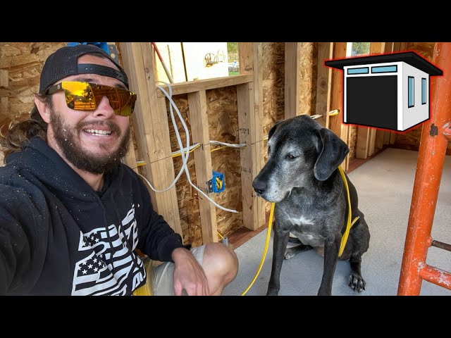 Building a Custom Modern Shed! (Part 6)