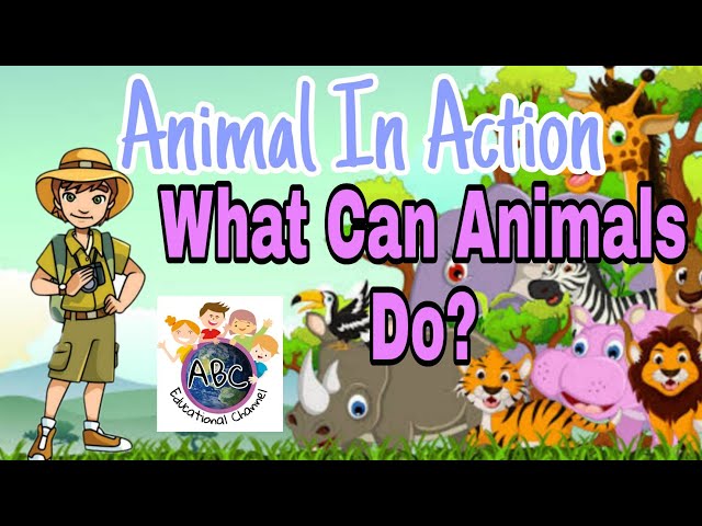 What Can Animals Do?|Animal in Action|Animal Movements|Vocabulary For Kids