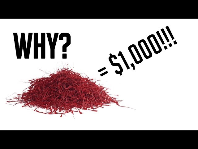 Why Is Saffron $1000 per OUNCE? Levi Explains | S2:E2 | MIgardener