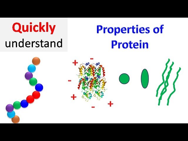 Properties of proteins | Protein Properties