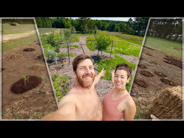 YEAR ONE of our PERMACULTURE Food Forest | Sailing Soulianis - Ep. 127