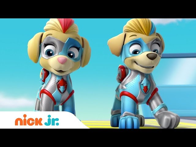 The Mighty Twins In Action 🐶🐶 PAW Patrol | Nick Jr.