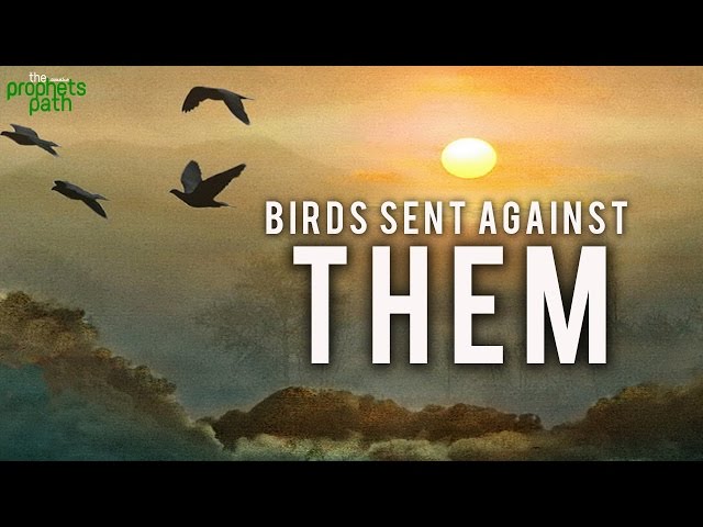 Birds Were Sent Against Them