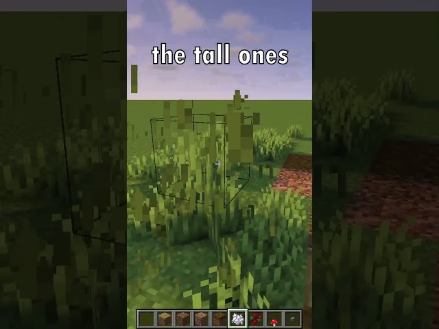 Quick And Easy Way To Upgrade Your Minecraft Paths!