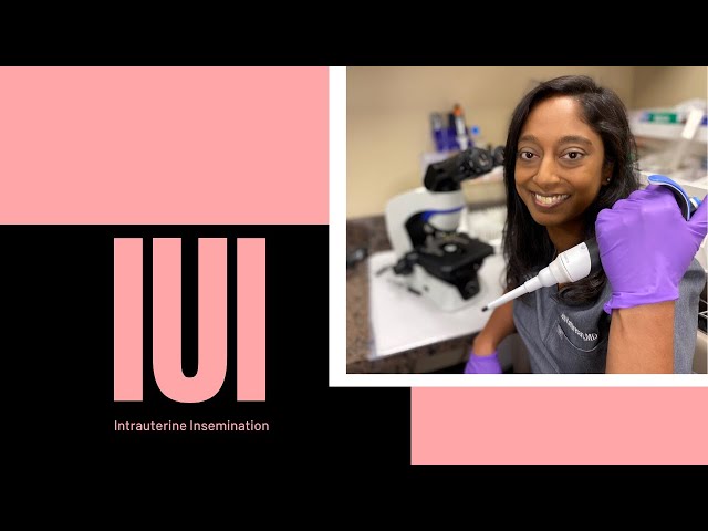 Intrauterine insemination (IUI)
