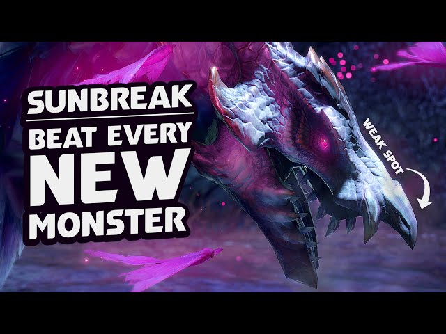 Monster Hunter: Sunbreak | MONSTER GUIDE - Destroy Every New Fight!