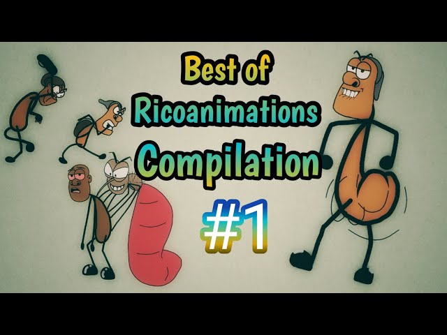 Best of Ricoanimations compilation #1