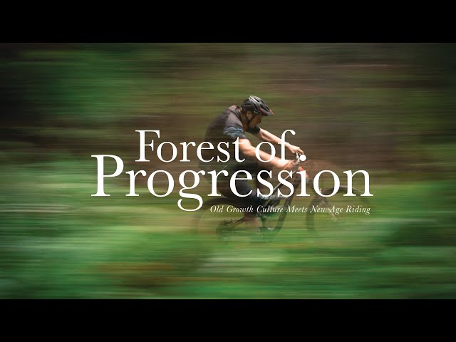 The Sunshine Coast’s Old Growth Culture Meets New Age Riding // Forest of Progression