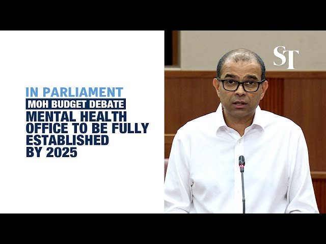 National Mental Health Office to be fully established by 2025