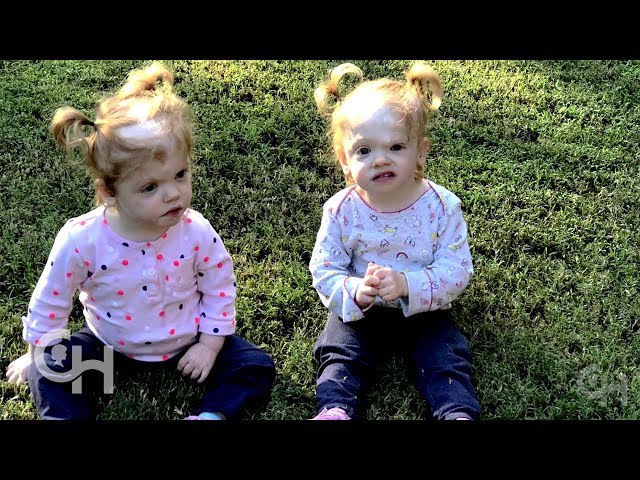The Delaney Twins: Progress Report