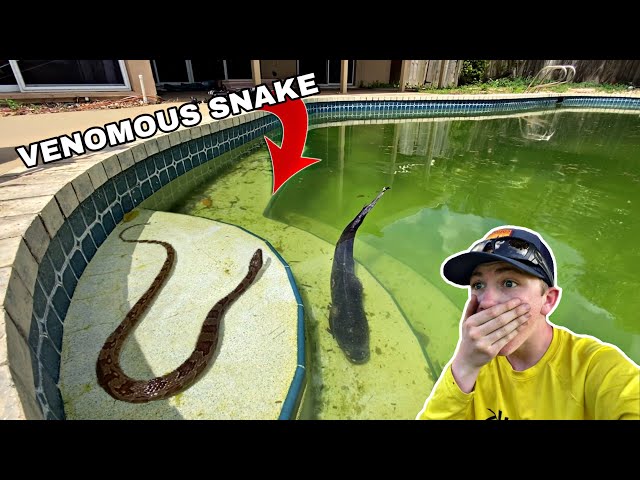 Deadly Snake Ate These Fish!!