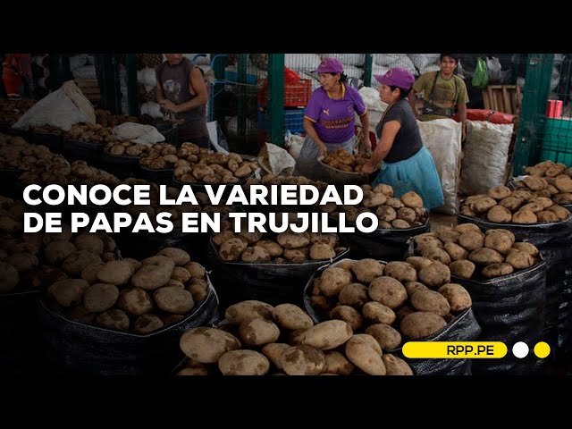 #NuestraTierra en Trujillo: Variedad de papas desde 1 sol el kilo