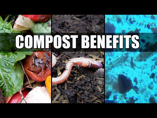 Extra Benefits Of Compost - Garden Quickie Episode 39