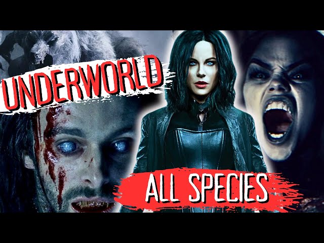 EVERY SINGLE Species From Underworld Explained(All Films & Books)