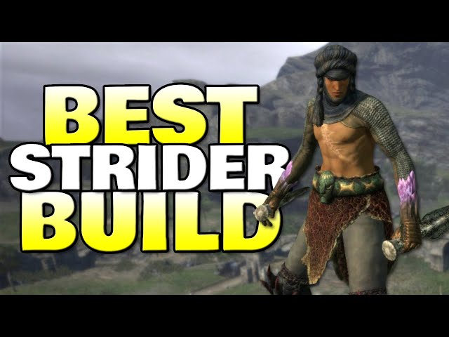 How To Create The Ultimate Strider Build In Dragon's Dogma
