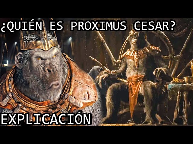 ¿Quién es Proximus Cesar? | El Origen de Proximus Caesar de Planeta de los Simios El Nuevo Reino