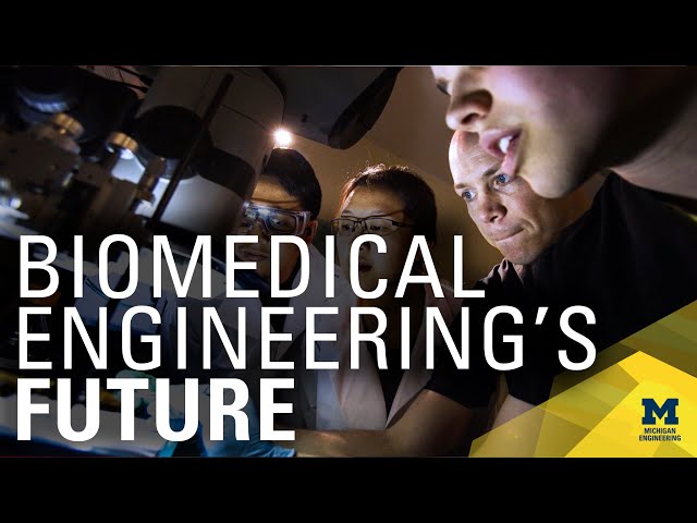 Biomedical Engineering at Michigan: Moving Forward