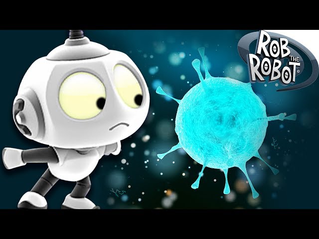 Learn Science |  Preschool Learning Videos | Rob The Robot