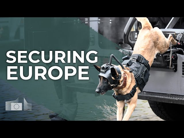 Future of European Security: the four pillars of the EU Security Strategy