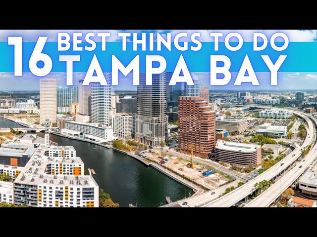 Best Things To Do in Tampa Bay Florida 2024 4K