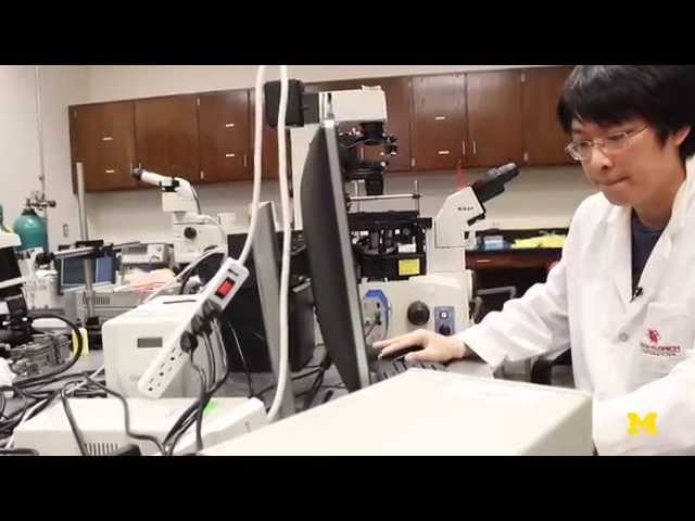 Fighting Cancer With Microfluidics